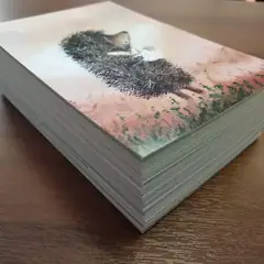 Почтовые карточки
